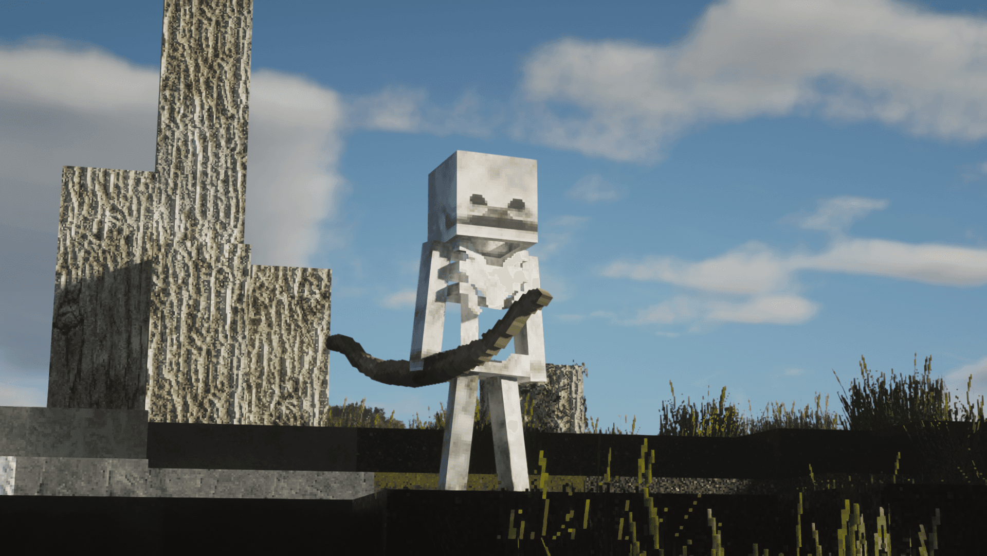 Skeleton